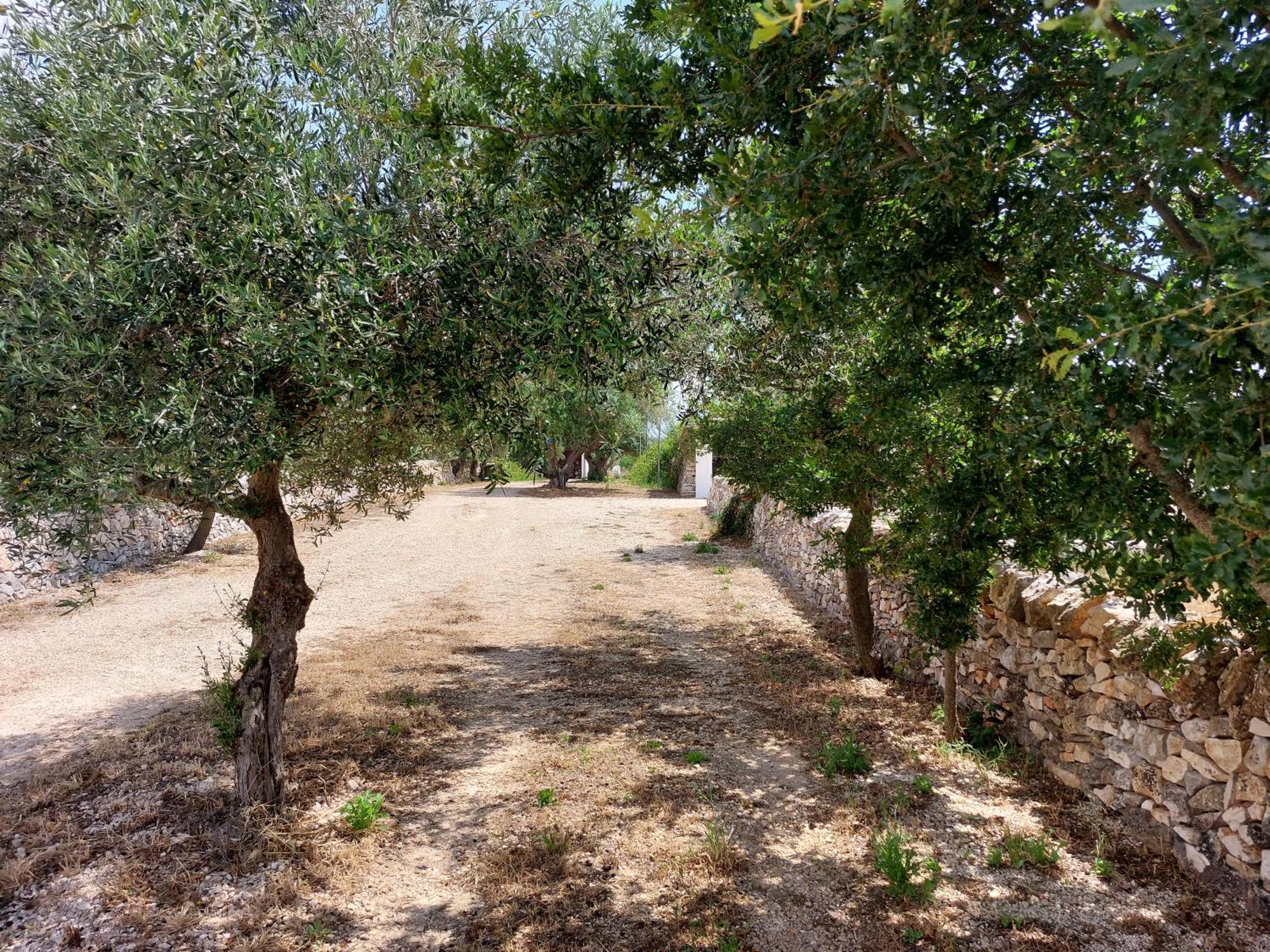 Bed and Breakfast Trulli Don Diego Ночи Экстерьер фото