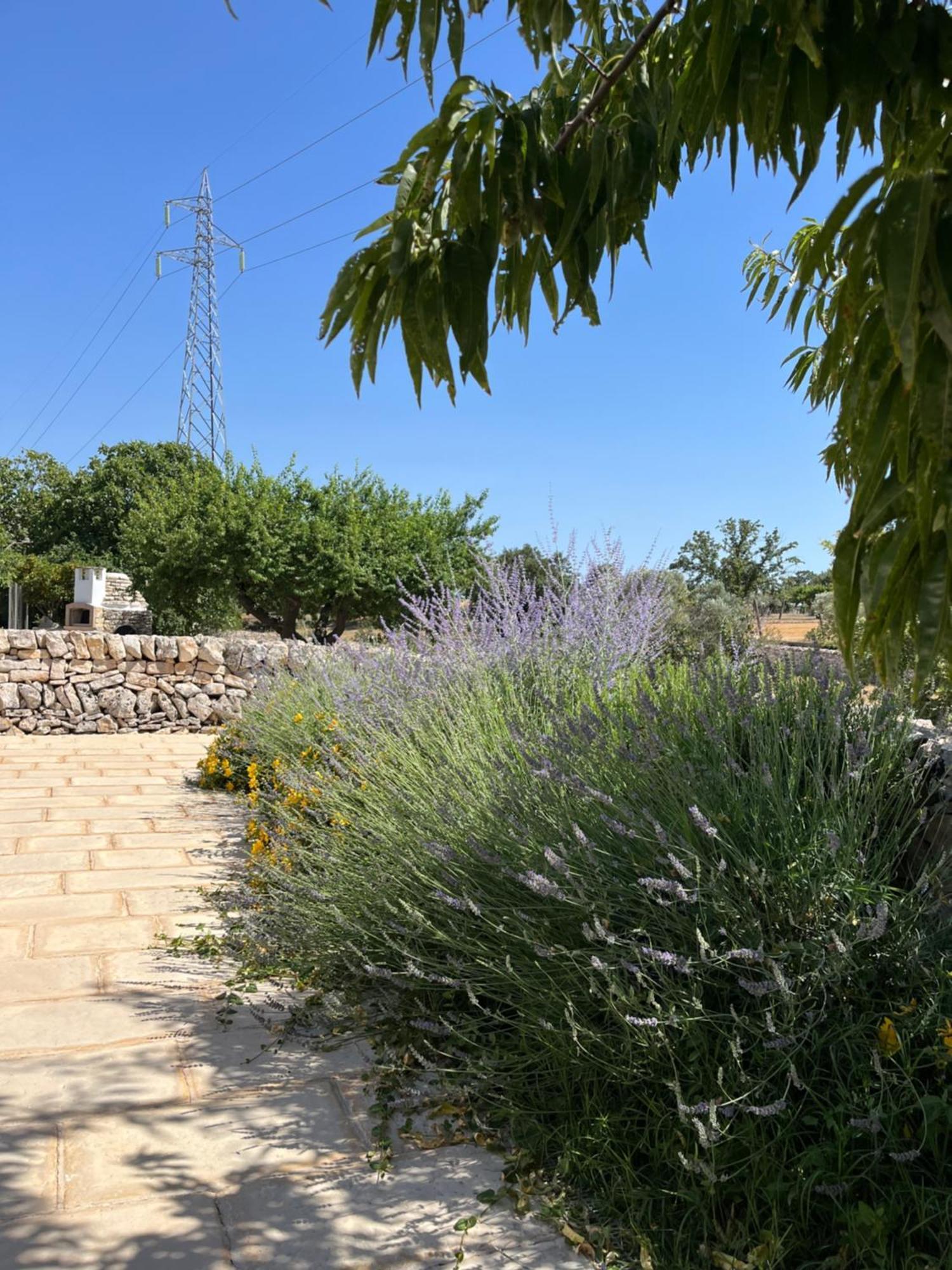 Bed and Breakfast Trulli Don Diego Ночи Экстерьер фото