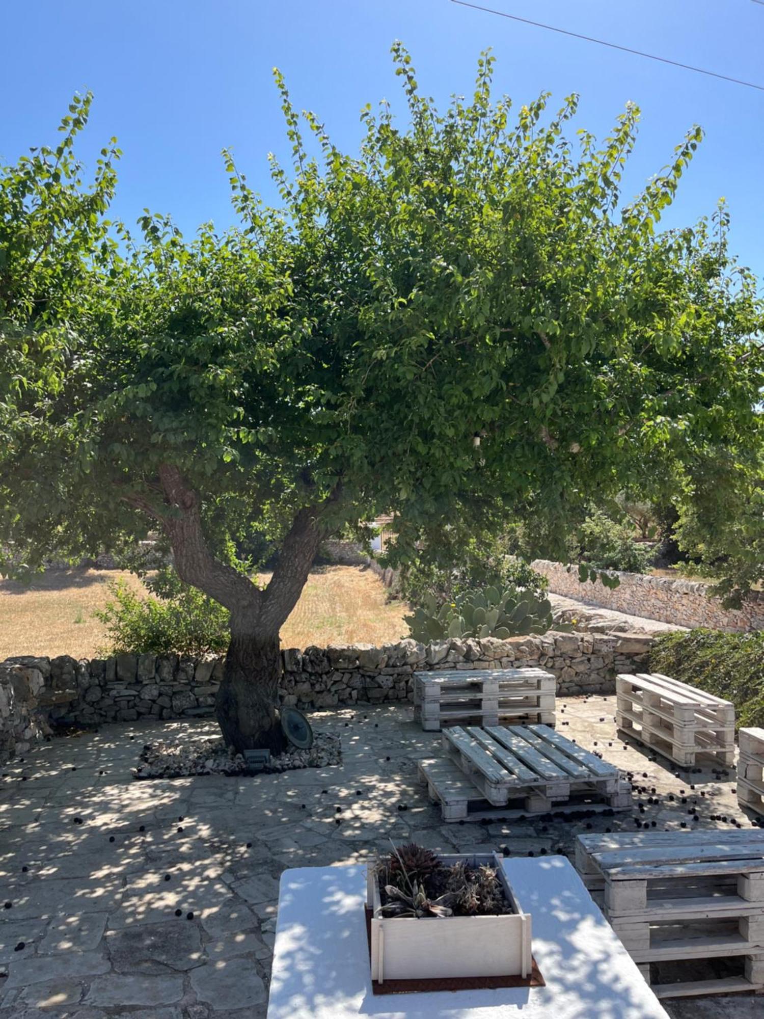 Bed and Breakfast Trulli Don Diego Ночи Экстерьер фото